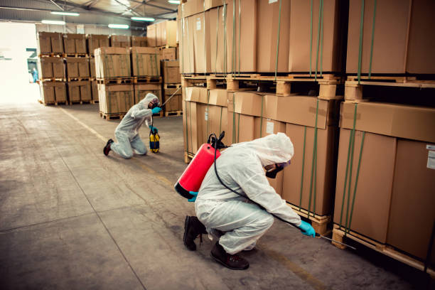 Best Wasp Removal Services  in Astor, FL