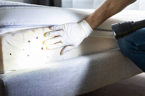 Best Pest Removal Services  in Astor, FL
